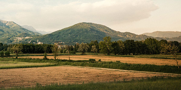 La mont di Dartigne