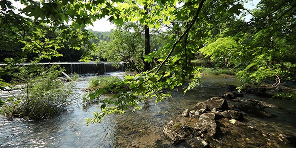 Volontari di fiume